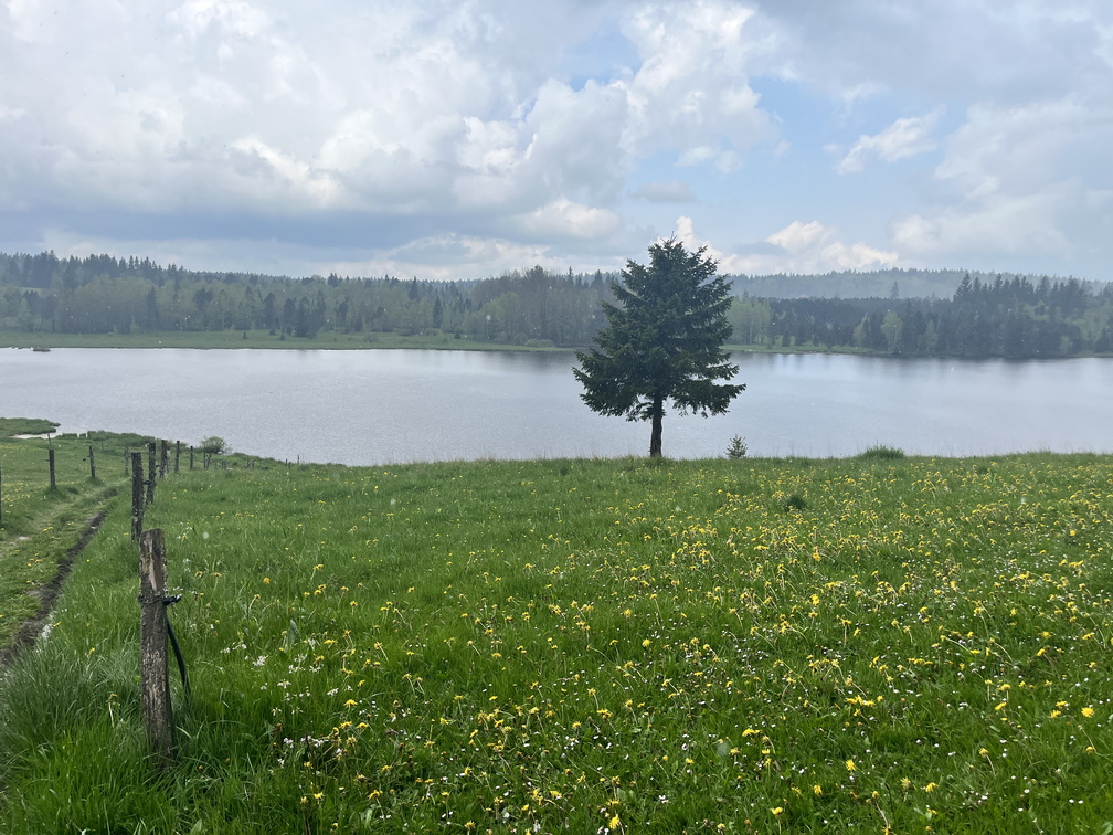 23-05-23 12-55-46 5589